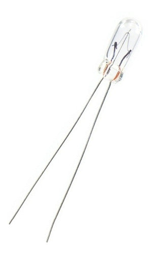 Piloto tipo arroz 6V