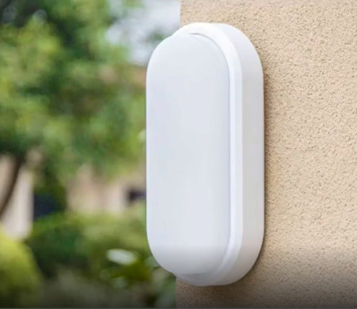 Tortuga led lisa Blanca